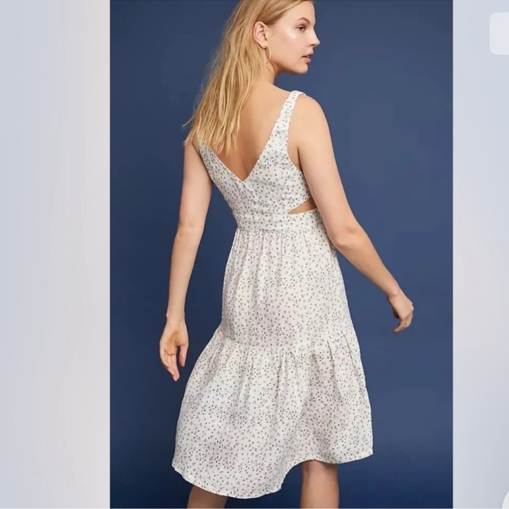 Anthropologie McGuire Palizzi Rose Garden dress - Picture 4 of 11